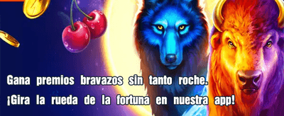 Siente la emoción del shuffle